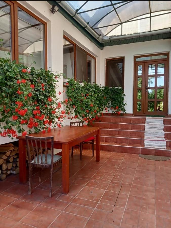 Elza Guesthouse Rimetea Luaran gambar